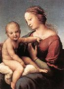 RAFFAELLO Sanzio Madonna and Child